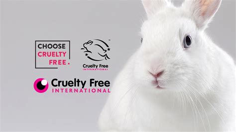 is gucci cruelty free|gucci animal free material.